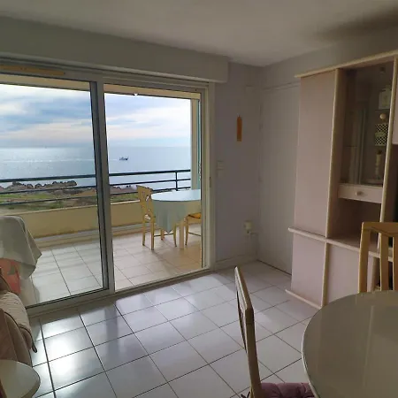 Apartment Climatise En Front De A Avec Piscine, Garage Et Wifi - Fr-1-472a-203 Sete