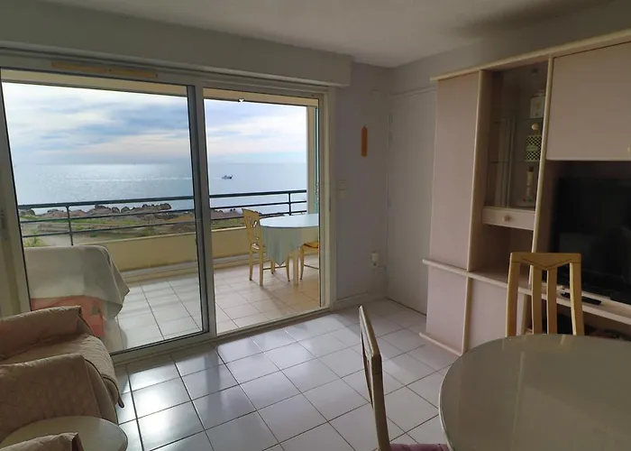 公寓 3 Pieces En Bord De Mer Avec Wifi Et Garage Prive - Fr-1-472A-203 塞特港